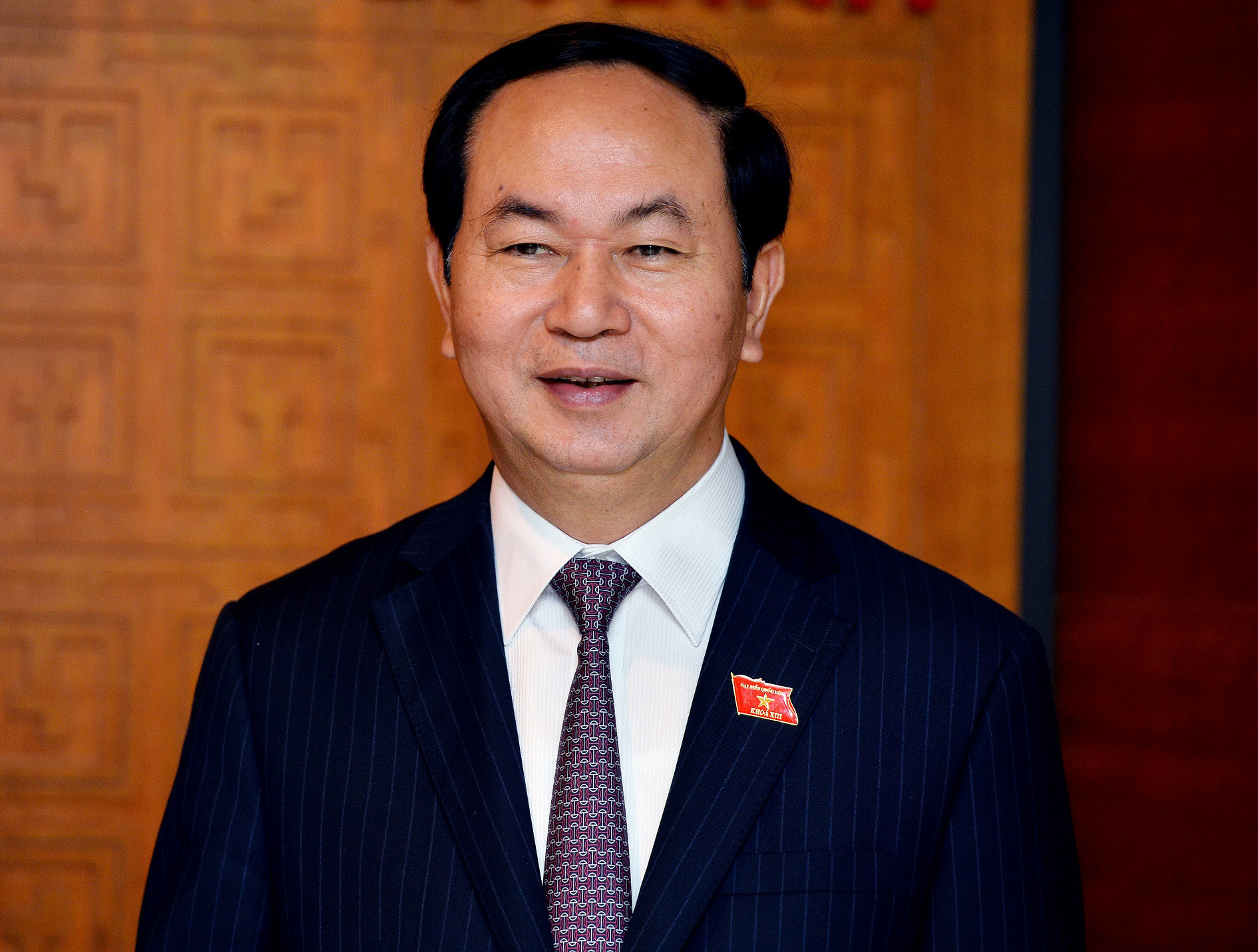 Vietnamese president: Tehran, Hanoi support promotion of peace