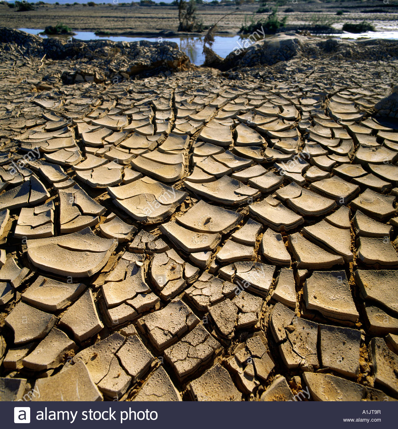 'We Are Thirsty' Say Tunisians as Drought Creates Tensions