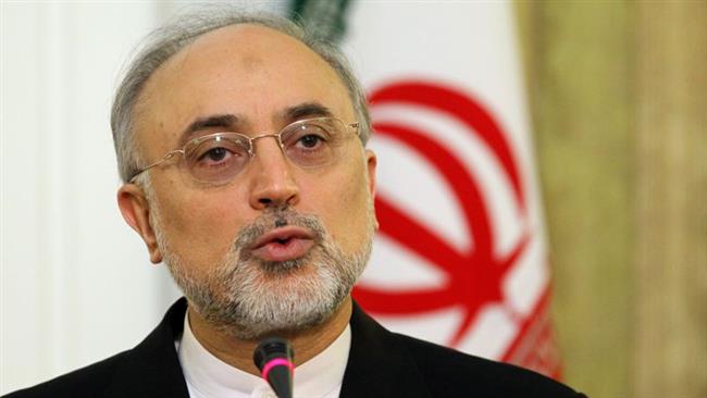 Salehi: New nuclear power plants help save 22m oil barrels