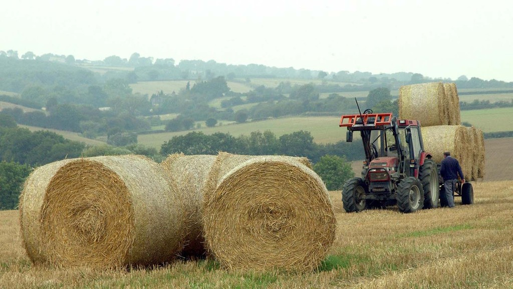 Agro Production Wastes as Fodder