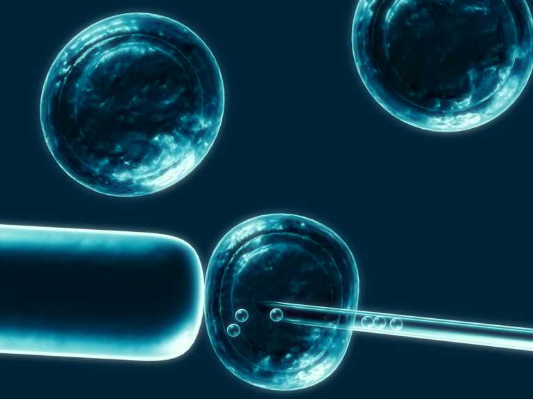 Iran ranks 2nd in region in stem cell research