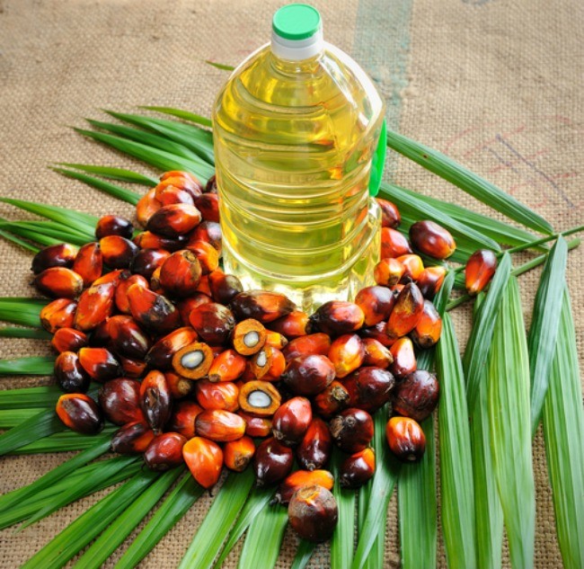 Iran Palm Oil Market to Top $600m by 2025