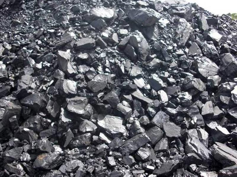 Petcoke Plant on RIPI Agenda