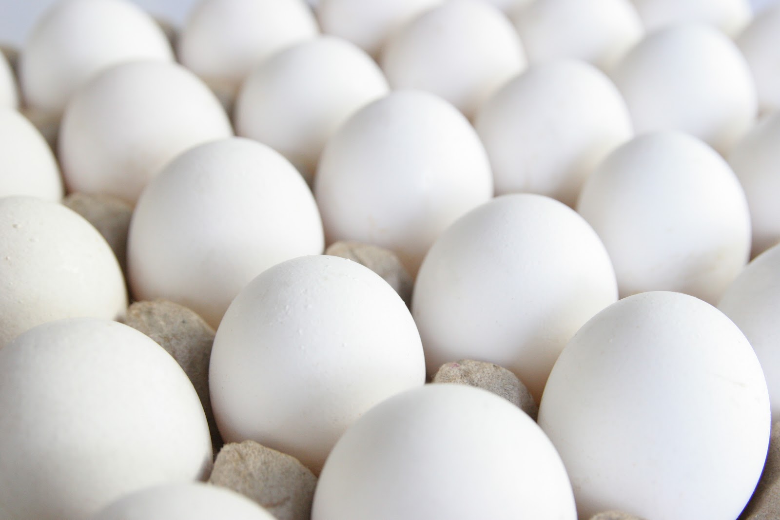 Iran’s Egg Exports Hit Rough Patch