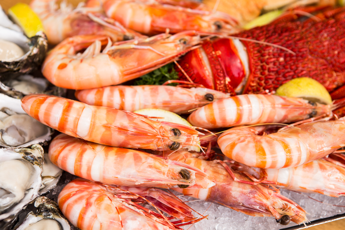 Seafood Output Target: 1.6m Tons p.a. by 2022