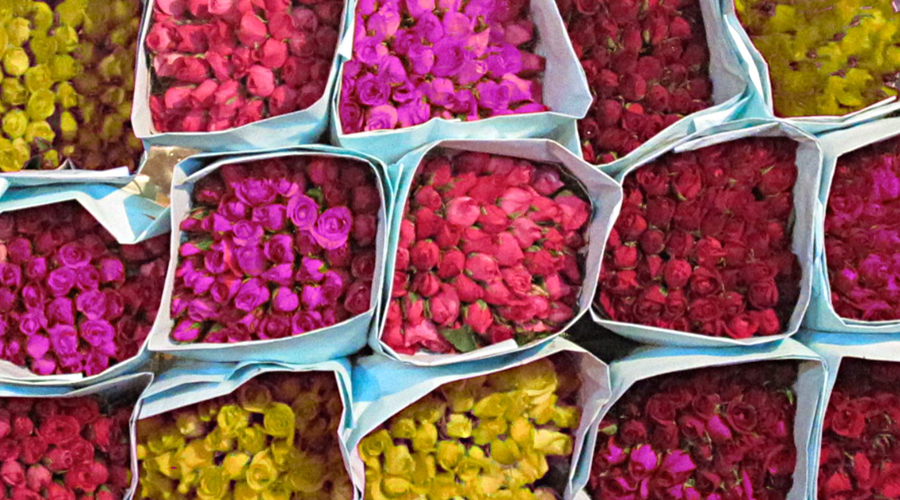 Iran Flower Exports Earn $2.4m in 4 Months