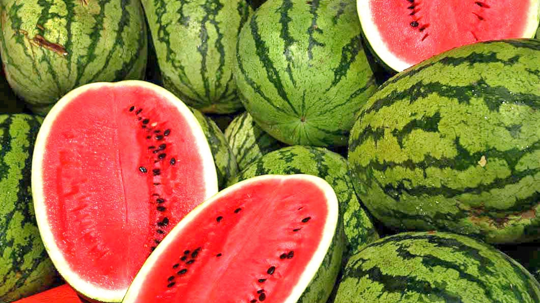 Watermelon Exports Exceed $97 Million