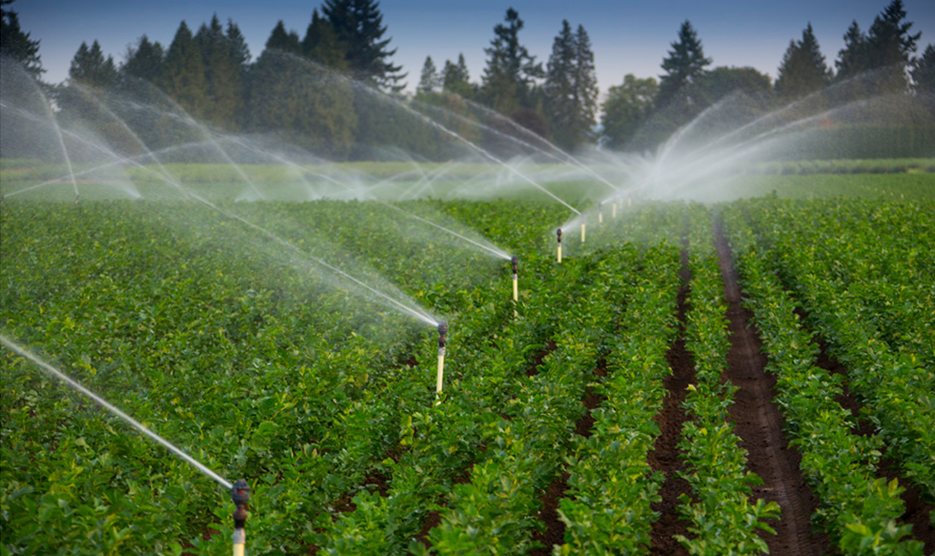 Iran Chamber of Commerce, Agriculture Ministry Sign MoU to Boost Water Productivity