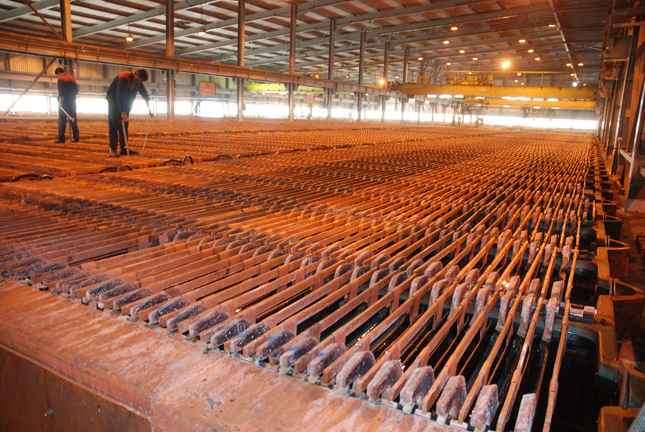 Copper Concentrate Output Grows 10%