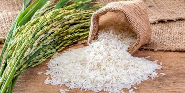 Over 100K Tons of Rice Cleared From Customs Since March 20