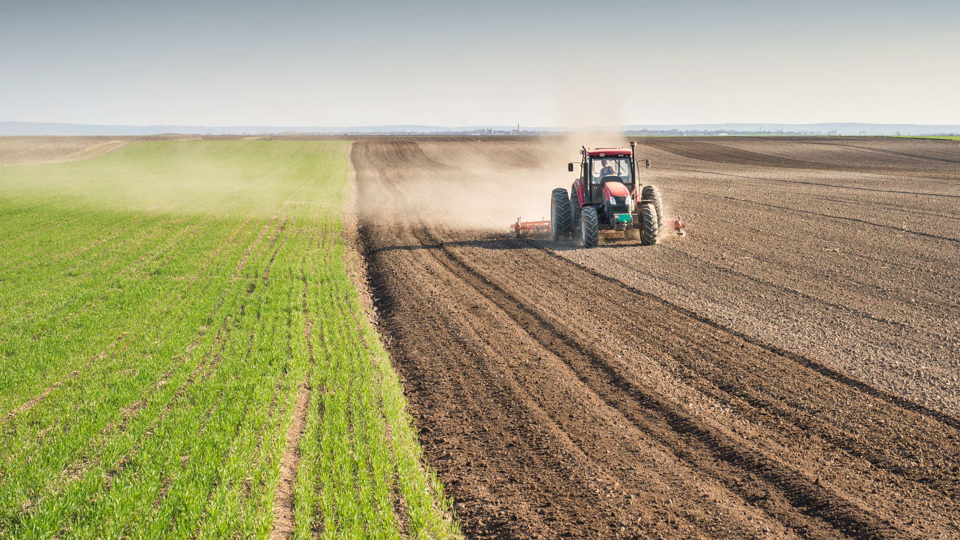 Iran's H1 Agrifood Exports Register 3.3m Tons Worth $1.8 Billion