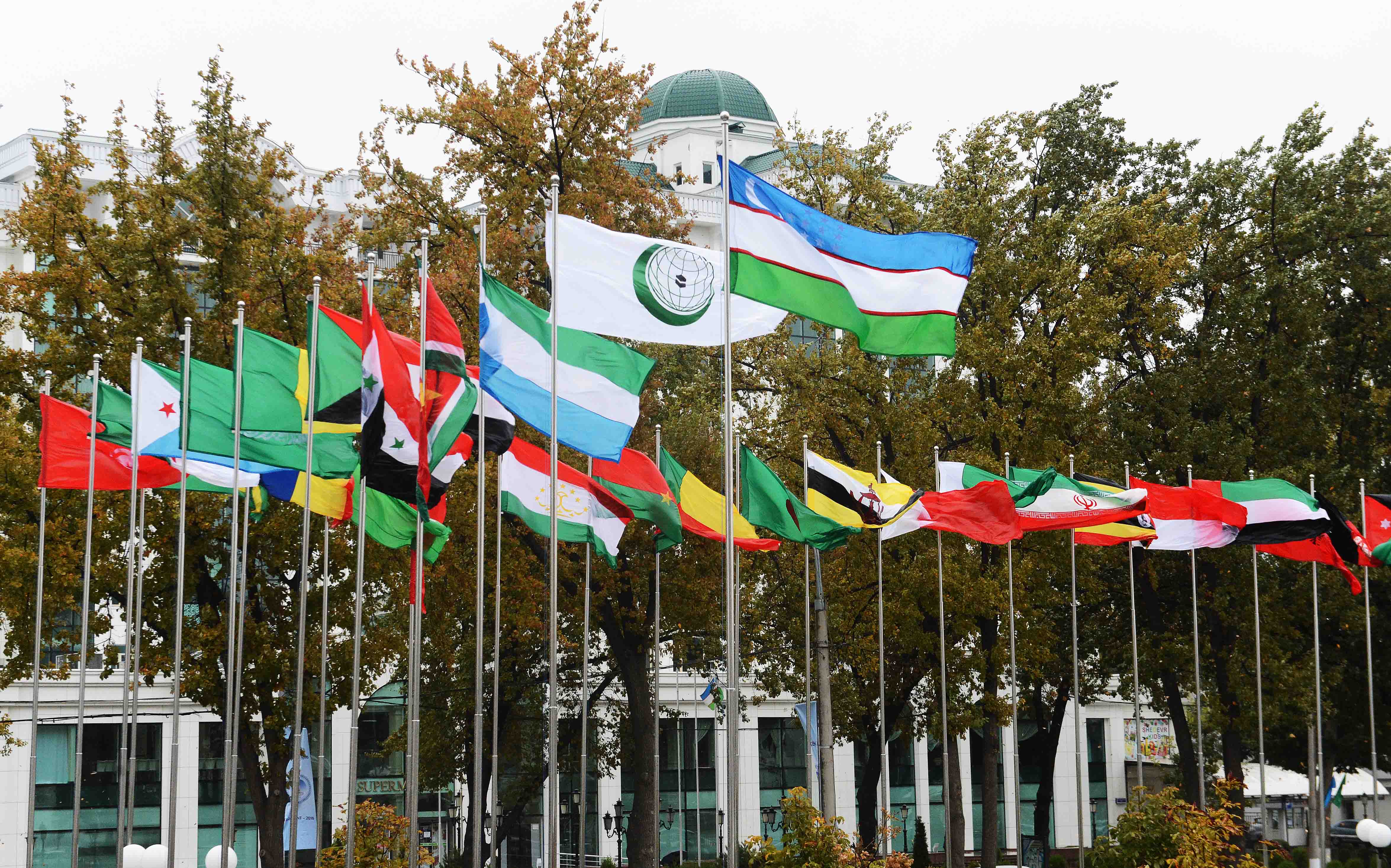 $30 Billion in Trade With OIC Countries During Seven Months