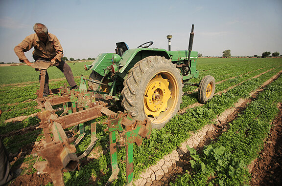 Lending Is Prioritized for Contract Farming