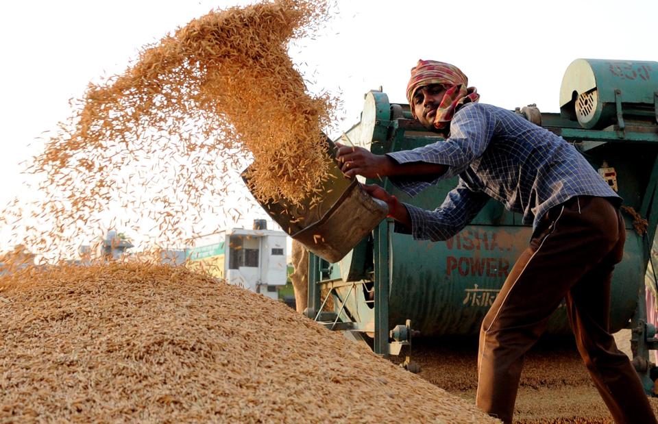 Indian Rice Exporters Require LC From Iran