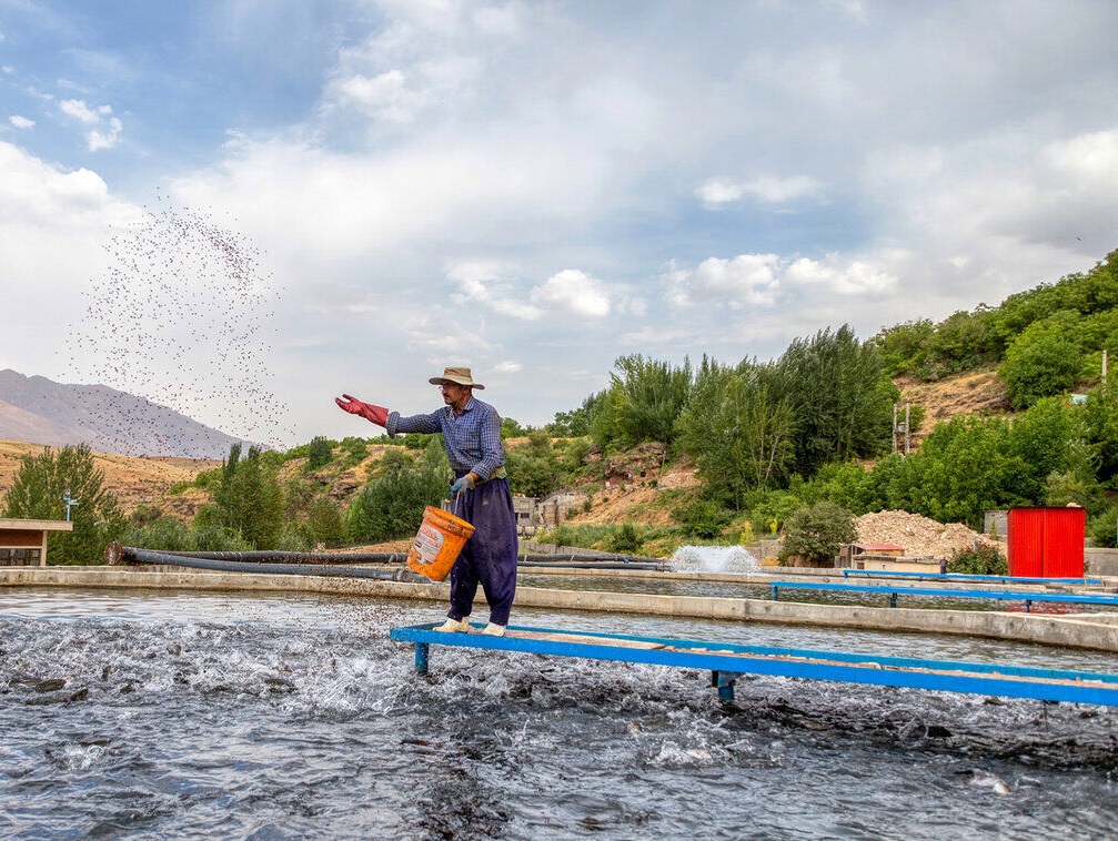 Trade of Fisheries, Aquaculture Products Register $54m Surplus Trade of Fisheries, Aquaculture Products Register $54m Surplus