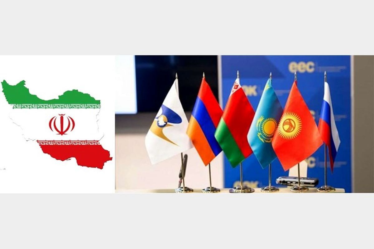 Iran-EAEU FTA has to be finalized by January: TPOI official