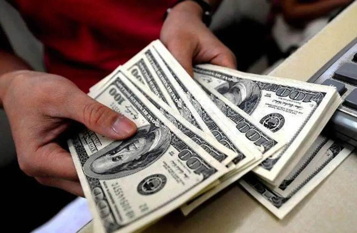 CBI earmarks over $40 bln subsidized currency for imports