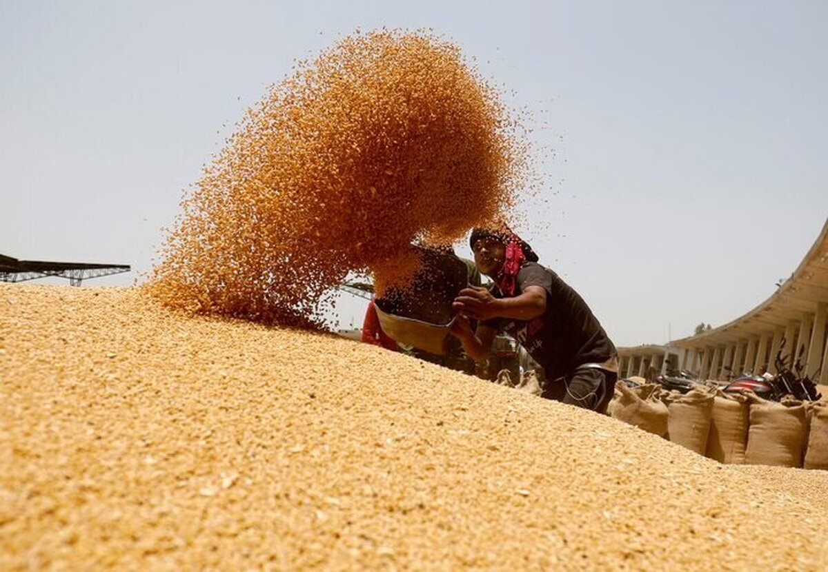 Iran pays off $3bn debt to domestic wheat farmers