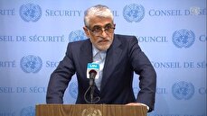 Iran spends more than $10 bn annually on Afghan immigrants :UN envoy