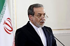 Iran working with regional countries on Syria: Araghchi