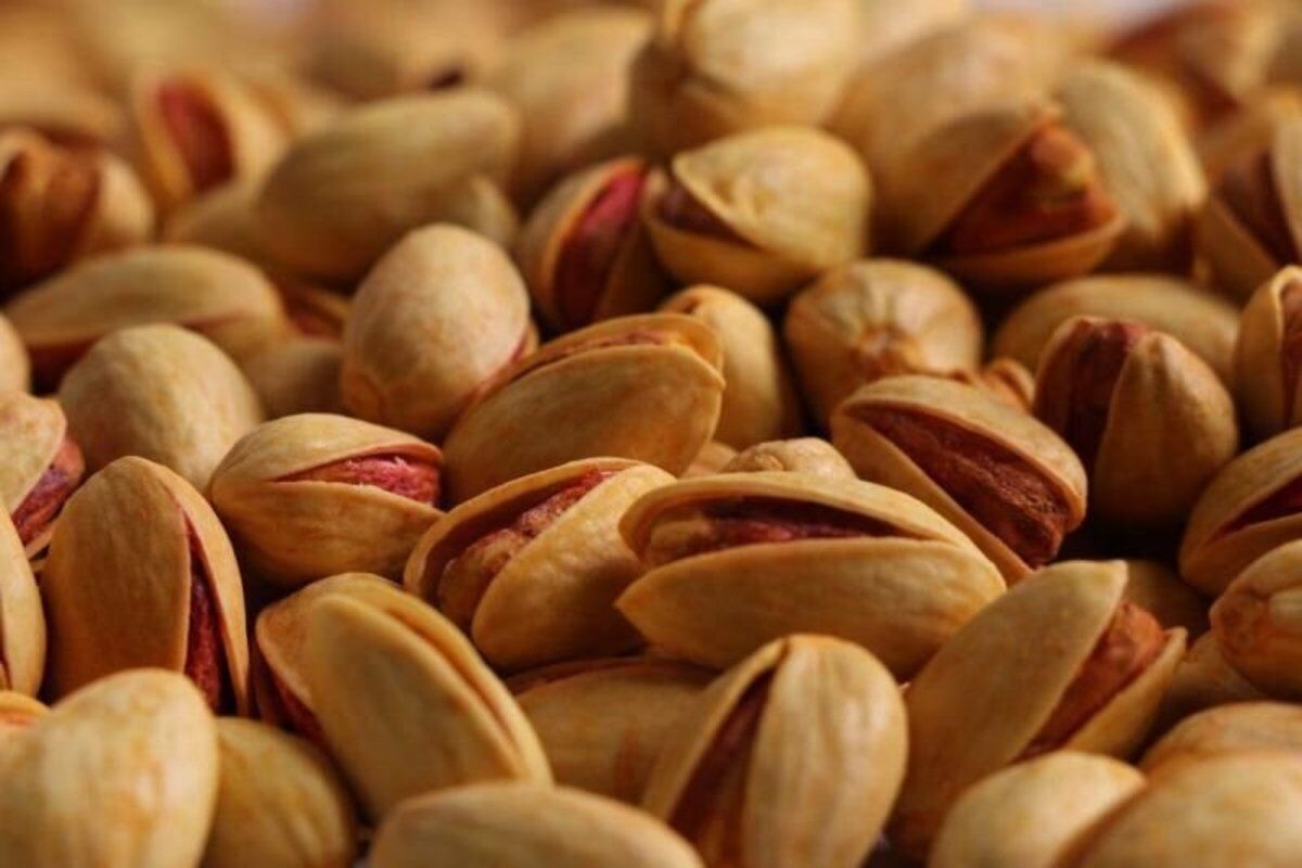 Iran pistachio exports to EU top €92m in 2023: Eurostat