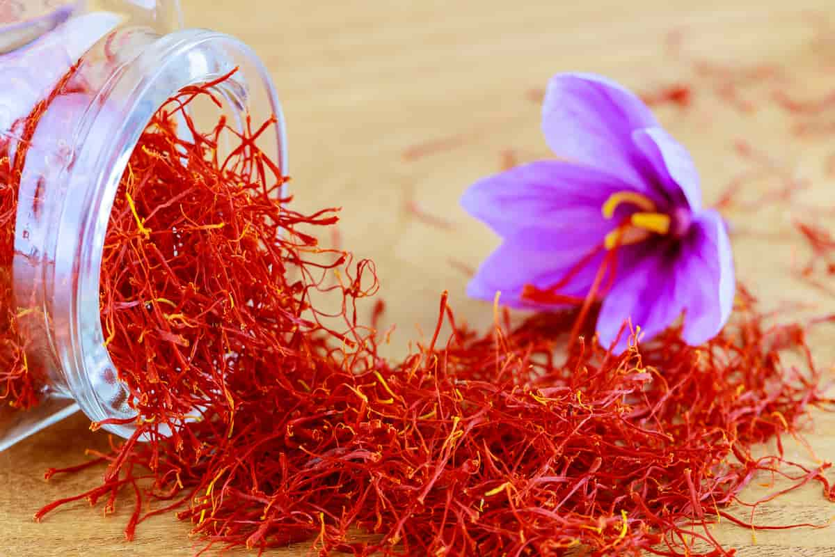 Iran exports $207 m worth of saffron to 55 countries