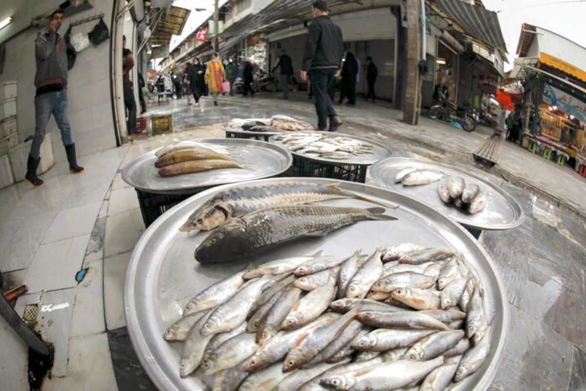 Iran exports over 3,000 tons of trout in Q1