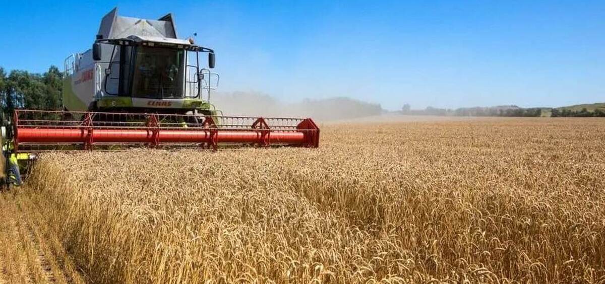 Iran announces guaranteed purchase prices for agri. products