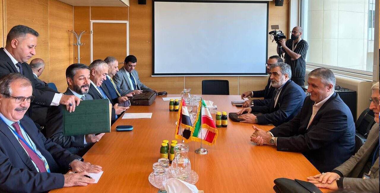 AEOI chief emphasizes expanding peaceful nuclear diplomacy