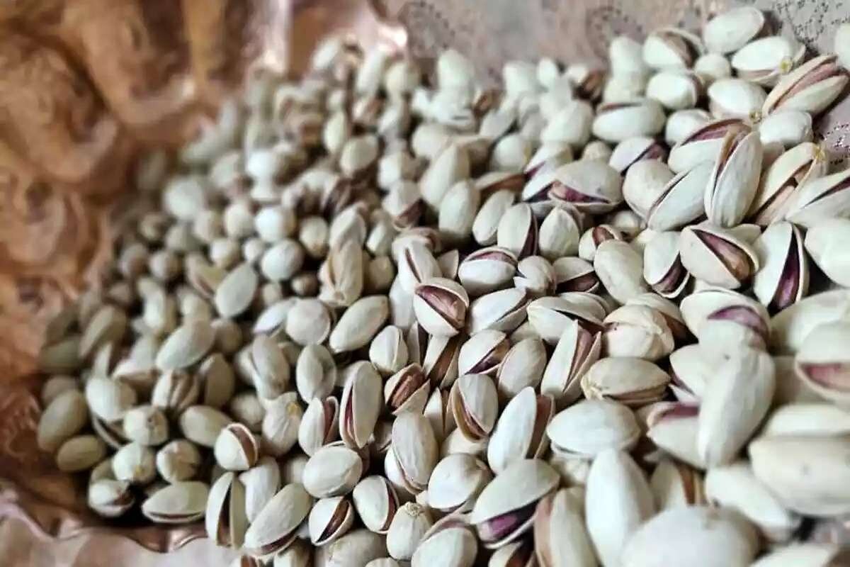 Iran’s pistachio production up 15%: Official