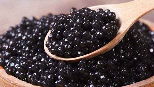 Iran’s exports of farmed caviar up 112% in 9-month period