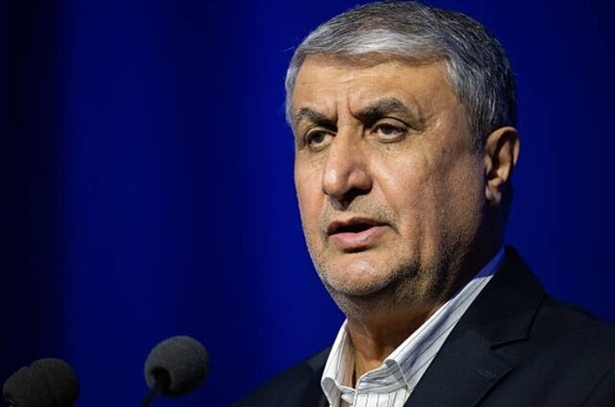 Interaction with IAEA in Conformity with Iran’s Parliamentary Law: Nuclear Chief