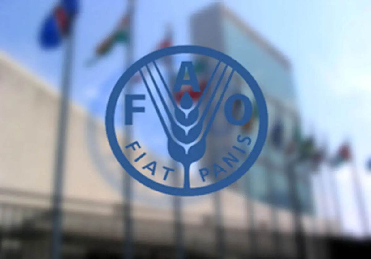 FAO, Iran launch project to boost climate-resilient farming FAO, Iran launch project to boost climate-resilient farming