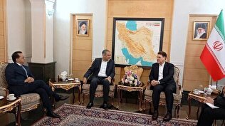 Pakistan’s interior minister in Tehran for ECO Summit