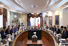 Iran, Bolivia stress strengthening oil cooperation