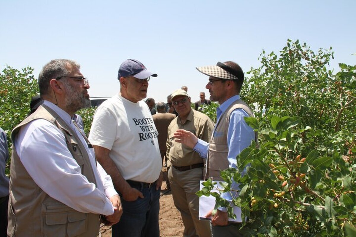 FAO expert visits Iran to help boost pistachio competition FAO expert visits Iran to help boost pistachio competition