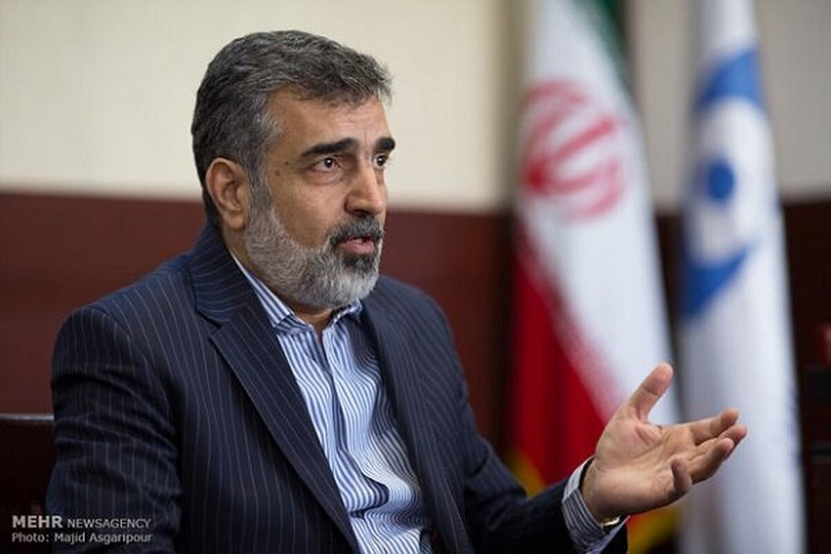Kamalvandi stresses Iran right to posses uranium enrichment Kamalvandi stresses Iran right to posses uranium enrichment