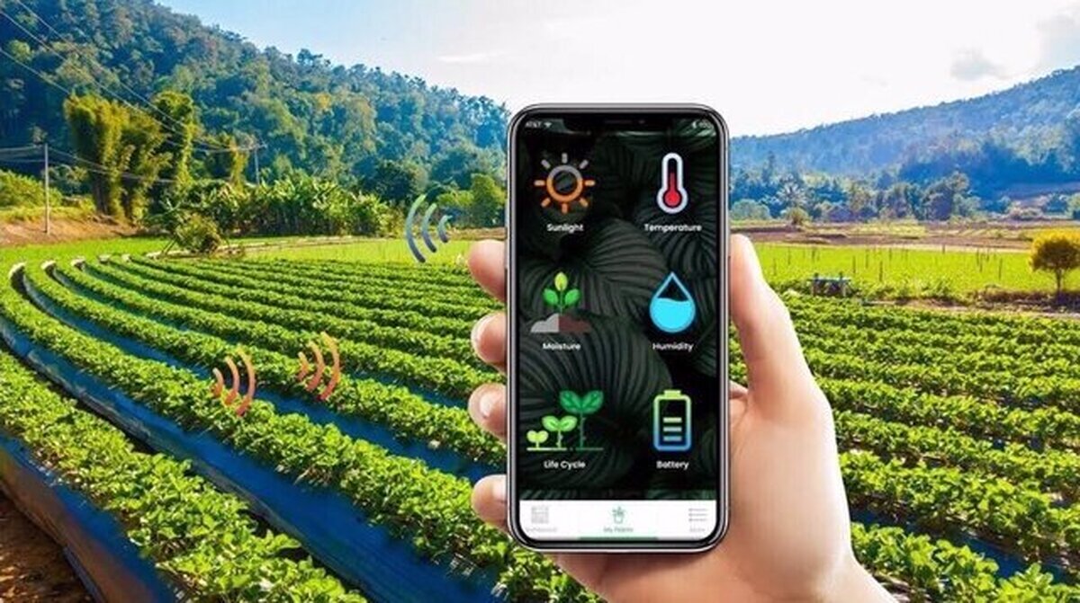 Iran’s agricultural renaissance with smart farming