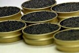 Iran’s annual production of caviar rises by 17%