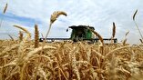 Iran cuts its agricultural import bill by 50%: minister