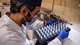 Iran’s CBI includes intangible assets in its list of acceptable collaterals