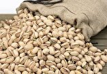 Iran exports .7 billion pistachio in one year: official