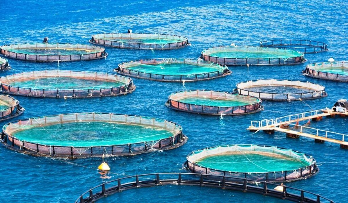 Envoy terms Chabahar as best platform for investment and assembly of Belarusian machinery in Iran