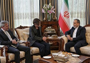 Iran Urges ICRC to Take Clear Stance on Israeli Atrocities