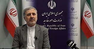 Iran envoy says Tehran-Riyadh ties solid, immune to disruption