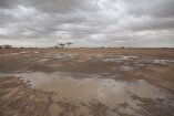 FAO urges action on rangeland restoration, drought resilience