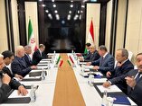 Iran, Tajikistan interior ministers discuss mutual ties, counter-terrorism