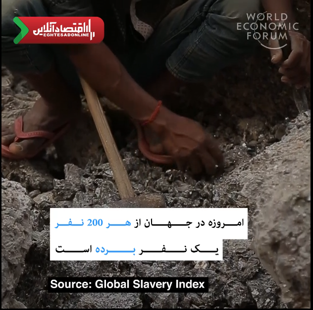 ۶ حقیقت وحشتناک درباره بردهداری مدرن +فیلم ۶ حقیقت وحشتناک درباره بردهداری مدرن +فیلم