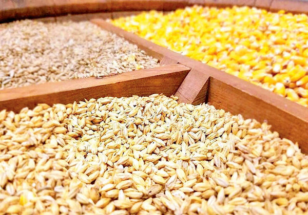 بیشترین ضعف شرکتهای بیمهای در پرداخت به موقع خسارت است بیشترین ضعف شرکتهای بیمهای در پرداخت به موقع خسارت است