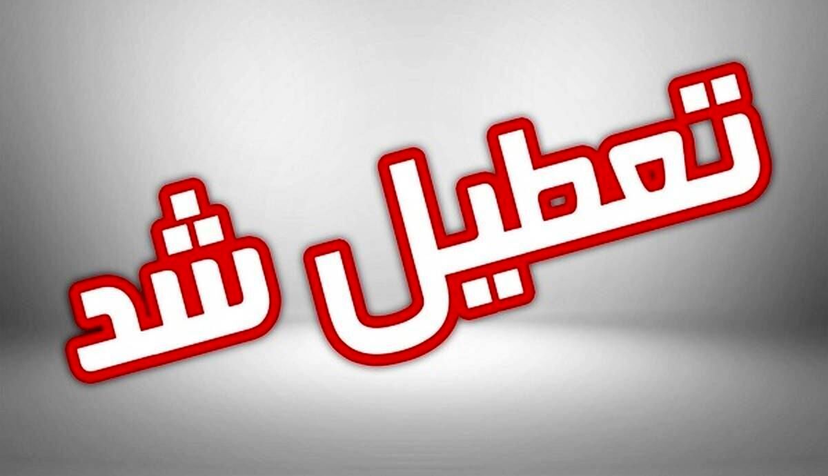 بارش شدید برف مدارس این شهر را تعطیل کرد